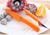 2-in-1 fruit carving knife cutter slicer stainless steel tools for DIY Fruit Salads