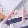 pure color ceramic handle cutlery set MACARON style stainless steel tableware